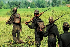 15 Naxalites arrested following an IED blast in Chhattisgarh