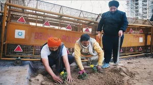 Farmers sow flowers next to the iron rails placed by the Delhi Police in Ghazipur (Delhi-UP border) in 2021