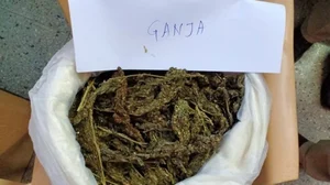 Only three days back 1900 kg of dry ganja worth more than Rs one crore was seized