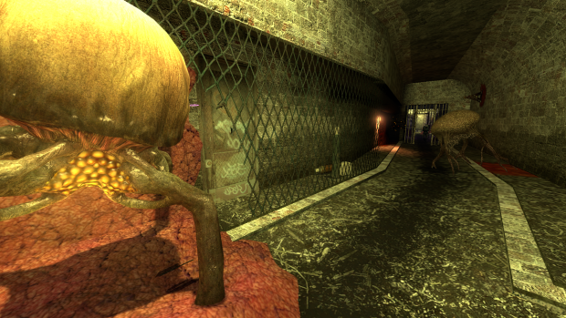 Half Life Source Screenshot 2024 05 20   14 30 48 85