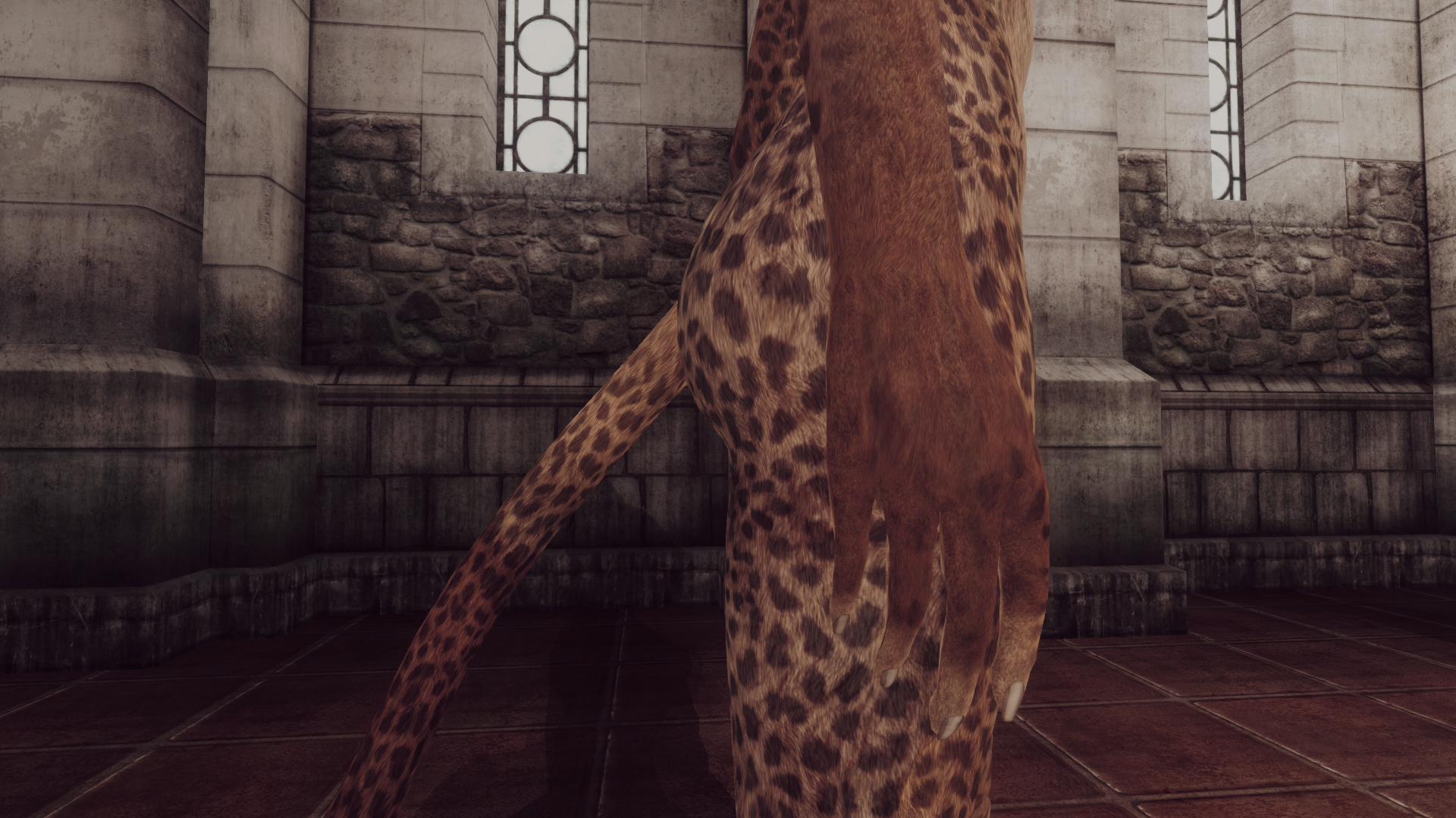 VKVII SKIN KHAJIIT F 14