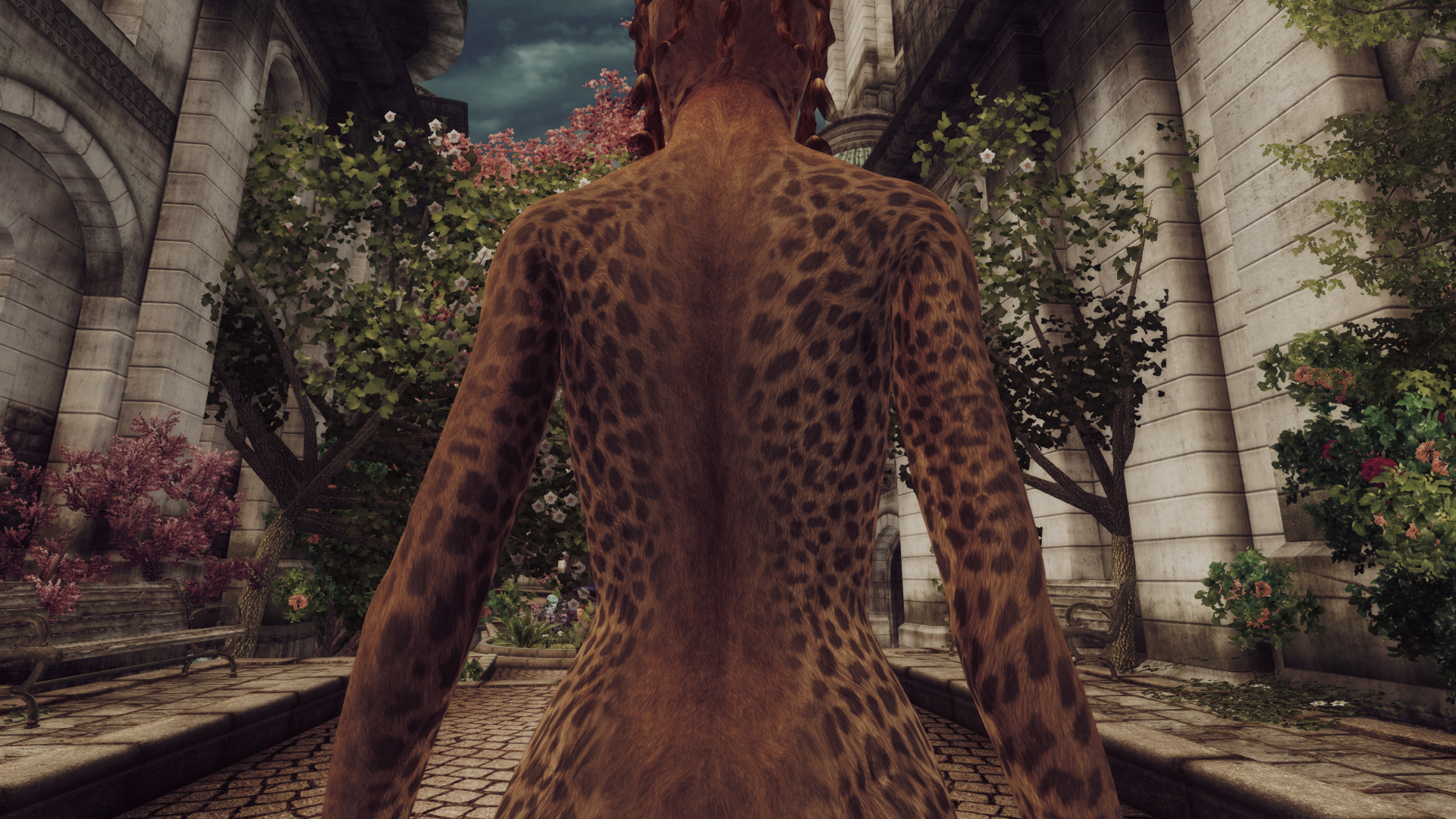 VKVII SKIN KHAJIIT F 2