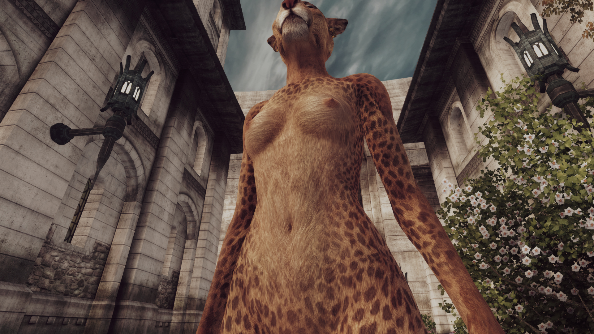 VKVII SKIN KHAJIIT F 29