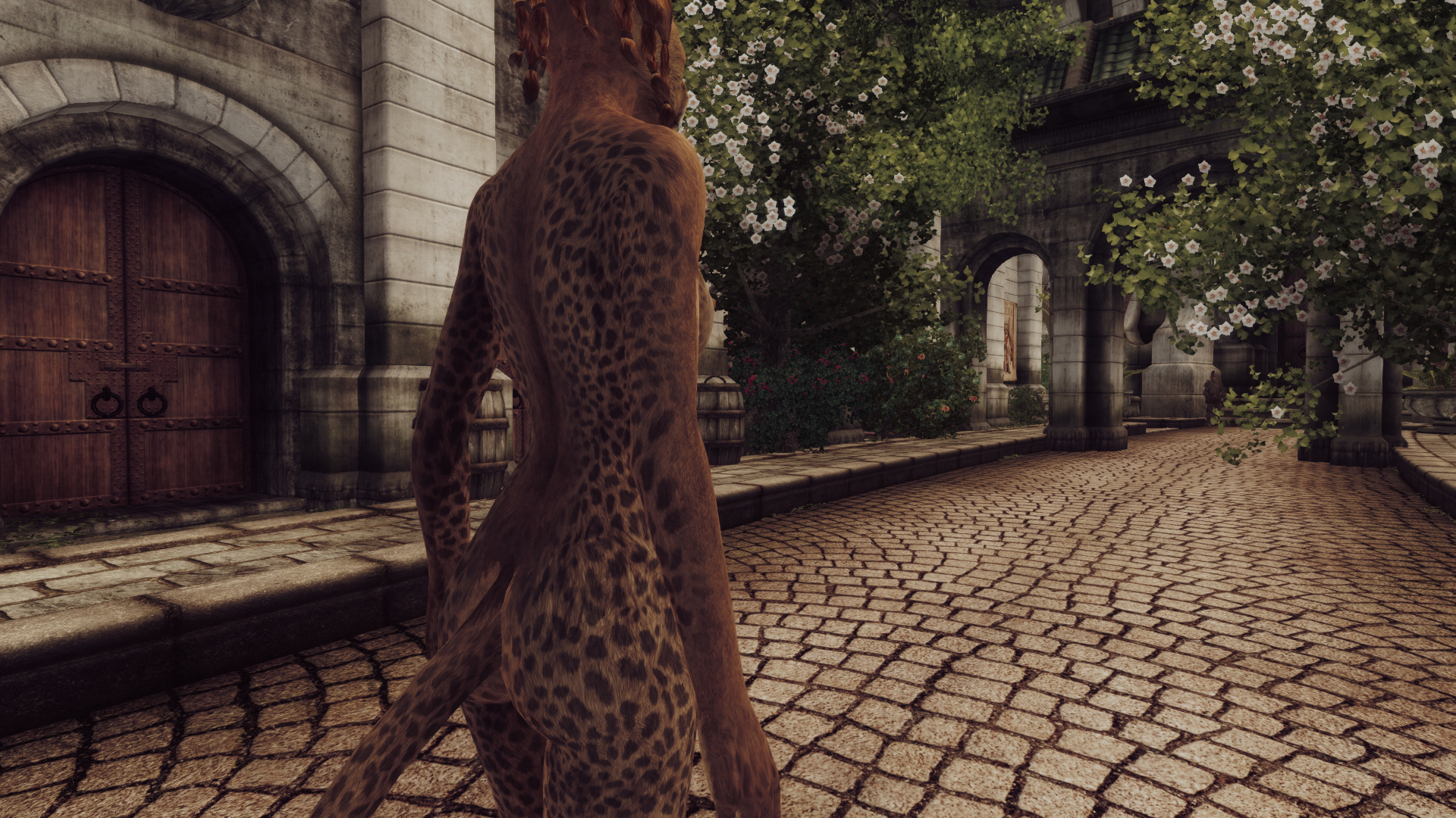 VKVII SKIN KHAJIIT F 4