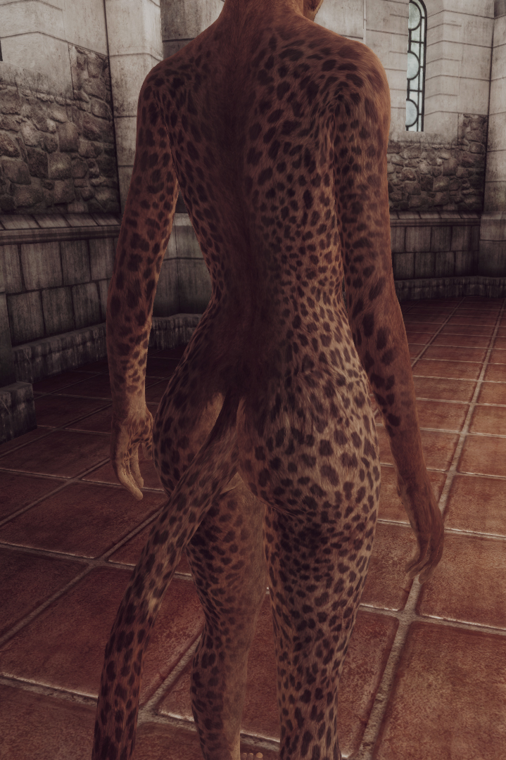 VKVII SKIN KHAJIIT F 9