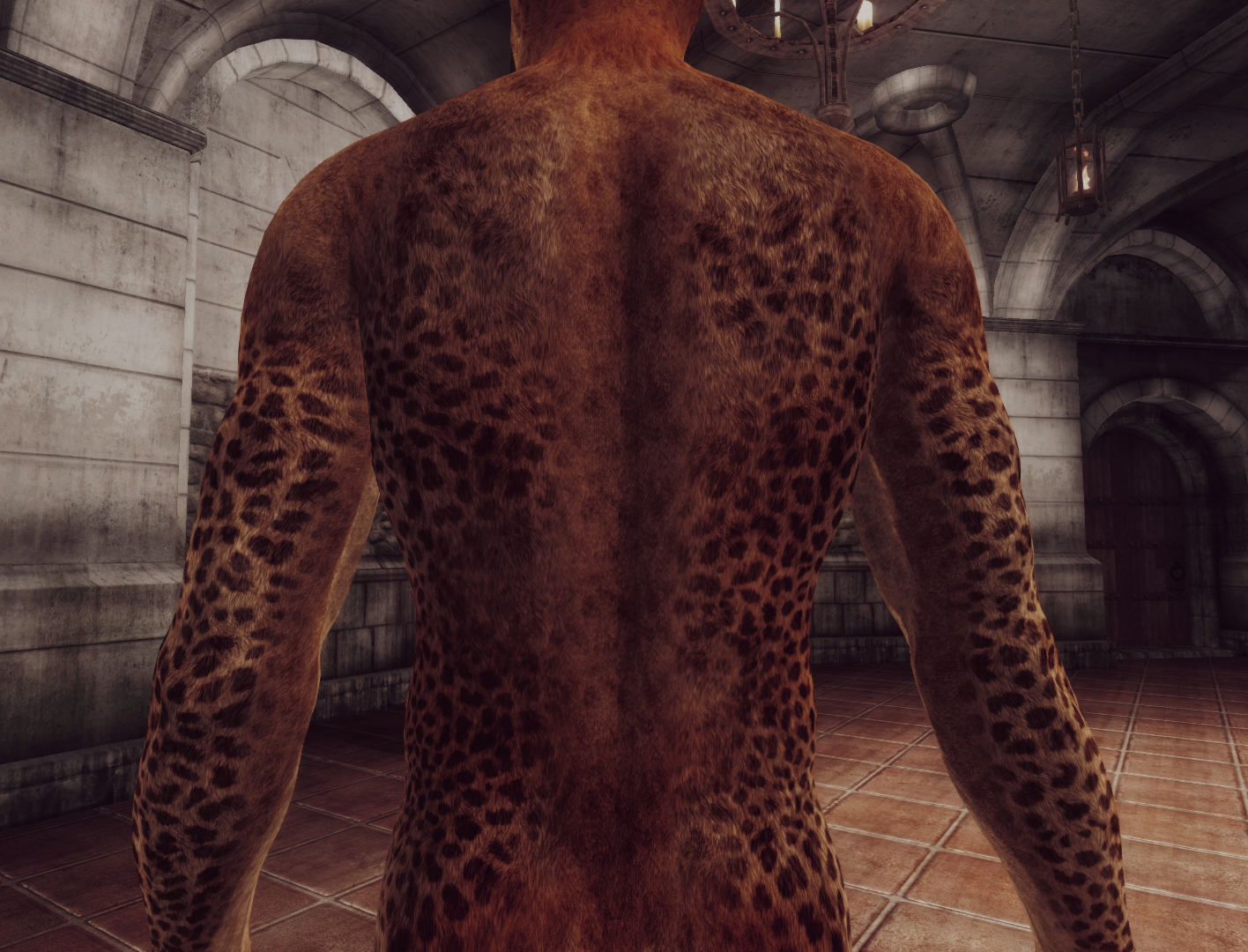 VKVII SKIN KHAJIIT M 10