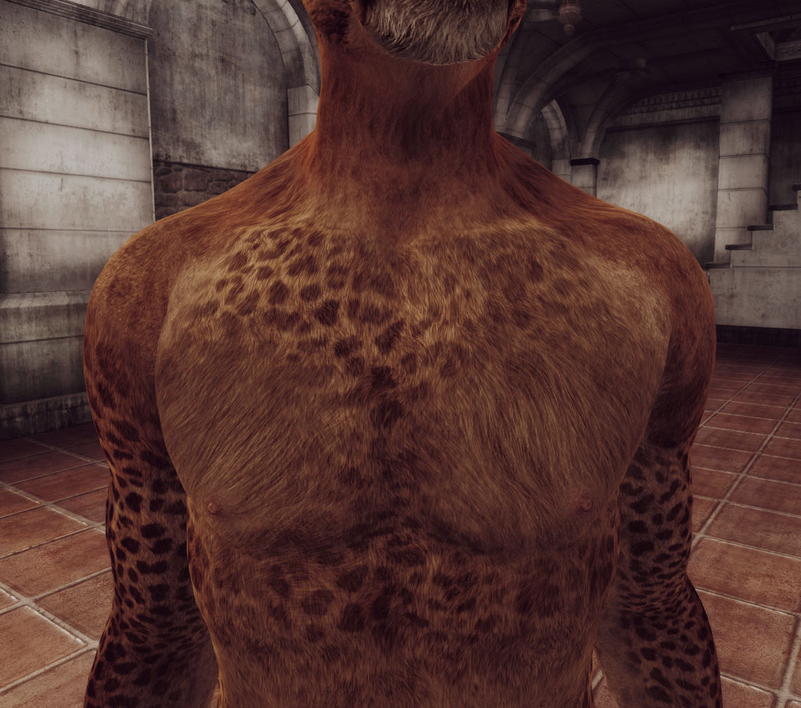 VKVII SKIN KHAJIIT M 6