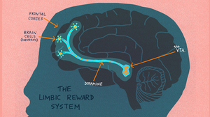 Curiosity: It Helps Us Learn, But Why?