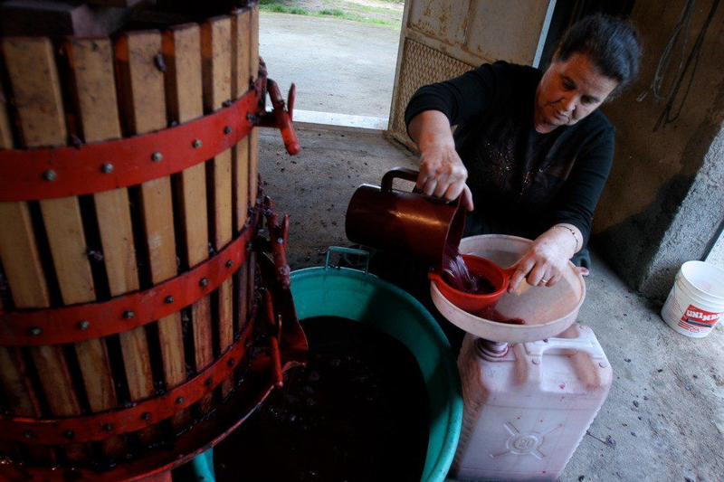 Cannonau wine is the antioxidant-rich garnet red wine made from the sun-stressed Grenache grape in Sardina, Italy.