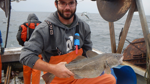 Why Is It So Hard To Save Gulf Of Maine Cod? They're In Hot Water