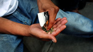 Young People Surprised By Risky Synthetic Drugs They Considered Safe