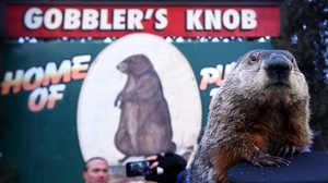 For Groundhog Day, Hear Public Radio's Records On Repeat