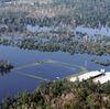 Hog Farmers Scramble to Drain Waste Pools Ahead Of Hurricane Florence