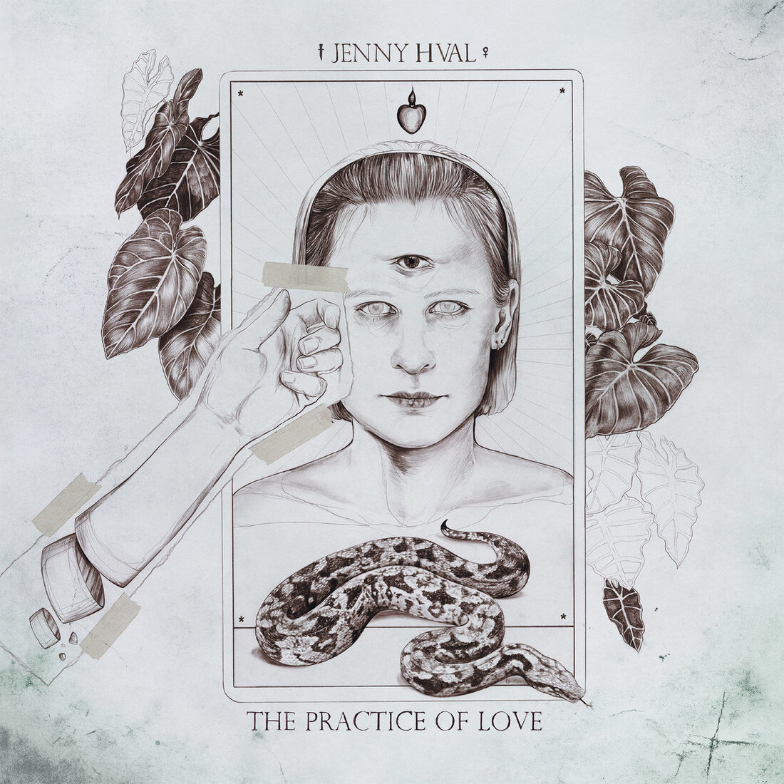 Jenny Hval, The Practice Of Love