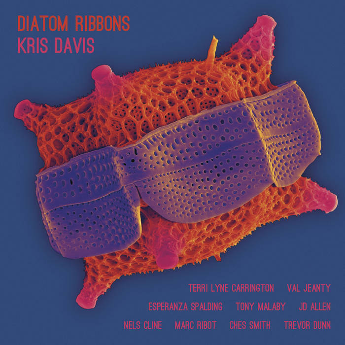 Kris Davis, Diatom Ribbons