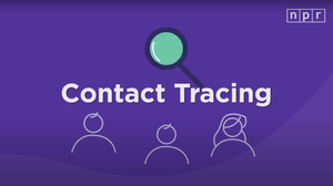 VIDEO: What Is Contact Tracing And How Can It Stop The Pandemic?