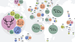 How many animal species have caught COVID? First global tracker has (partial) answers