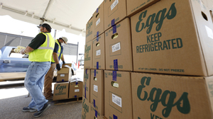 A bird flu outbreak at the largest U.S. chicken egg producer could affect egg prices