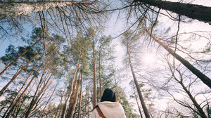 Spending time in a forest can boost health and lower stress. Here's how