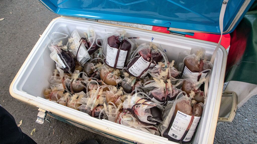 pouches of blood in medical cooler