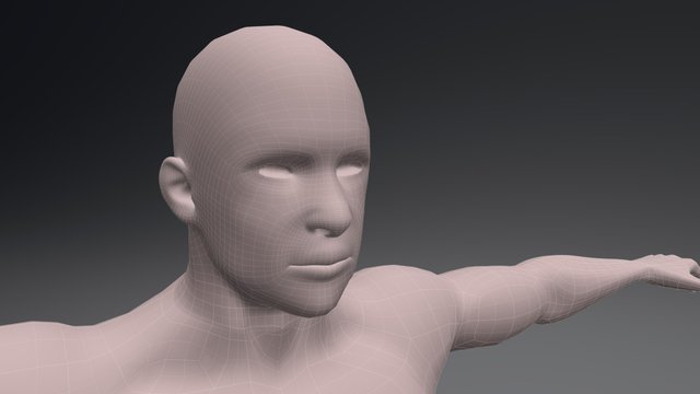 Corpo 3D Model