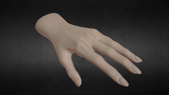 Female Hand 3D Model