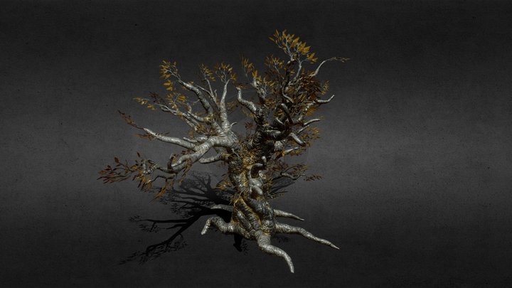 Ancient Tree 3D Model