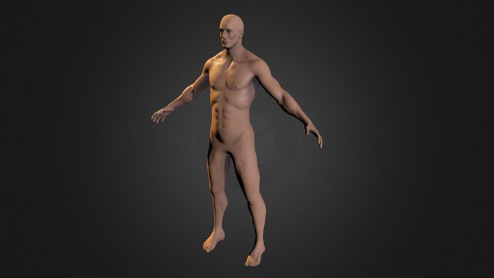 Pandora native 3D Model