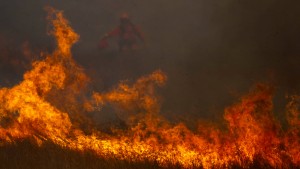 Starke Winde fachen Waldbrände an