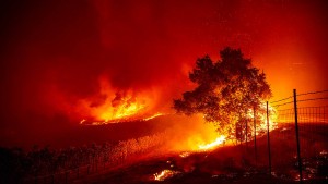 Feuerwehr in Kalifornien im Dauereinsatz