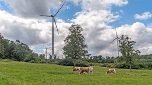 Lokale Verantwortung im Kampf gegen den Klimawandel