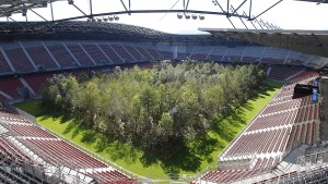 Was soll ein Wald im Stadion?