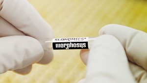 Novartis schnappt sich Morphosys