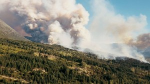 Verheerende Waldbrände in Argentinien