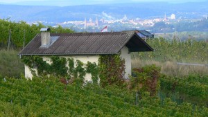 Durch den Bachgau: Land zwischen Bayern und Hessen