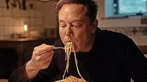 Spaghetti für Elon Musk