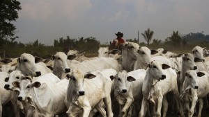 Mercosur-Abkommen liegt unterschriftsreif vor