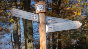 Individueller Wanderspaß im Taunuswald