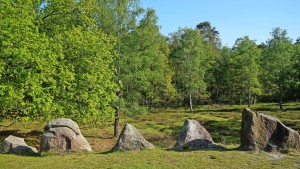 Ganz natürlich stoned