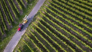 Der deutsche Weinbau in der Krise