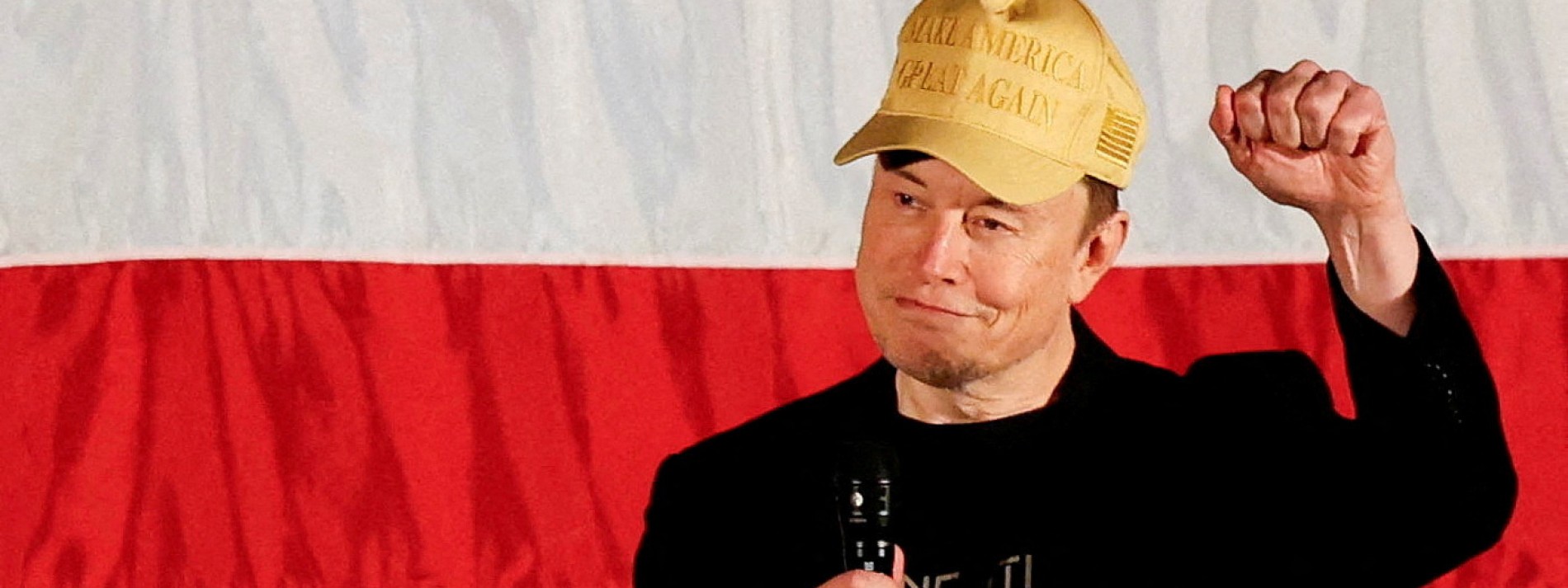 Elon Musk am Apparat