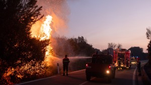 Bischof von Nuoro auf Sardinien verurteilt Brandstifter