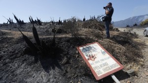 „Einen solchen Waldbrand hat es seit Jahren nicht mehr gegeben“