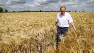 Warum hat fast jeder fünfte Landwirt AfD gewählt, Herr Rukwied?