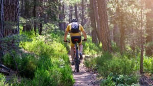 Selbstfahrende Mountainbikes auf Hochgeschwindigkeits-Waldwegen