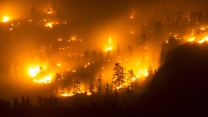 120.000 Menschen vor Waldbränden in Sicherheit gebracht