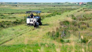 Das Nordseeidyll entdeckt seine dunkle Seite