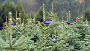 Was sich für Verbraucher im Dezember ändert