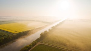 Sonnenschein für alle Mütter und Väter