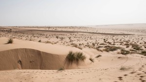 Französisches Paar wollte Sohn in der Sahara „opfern“